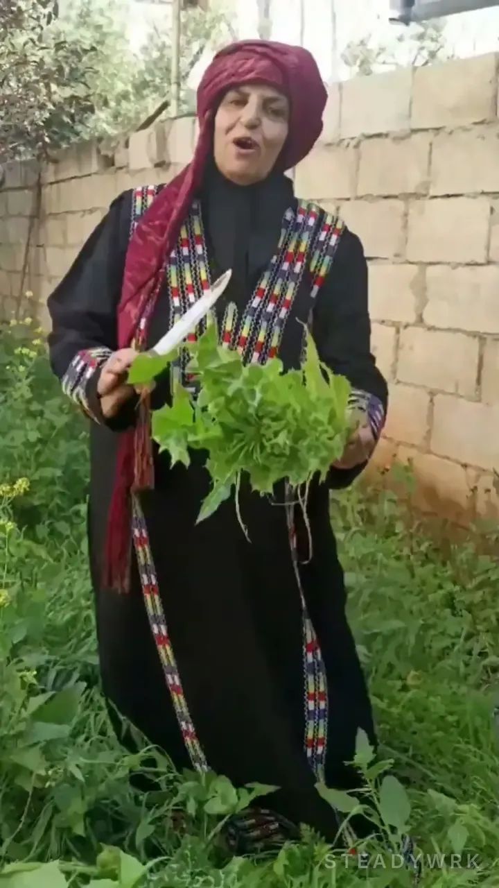 Um Mohammad in her garden by a block wall, holding freshly cut khurfeish greens and a knife
