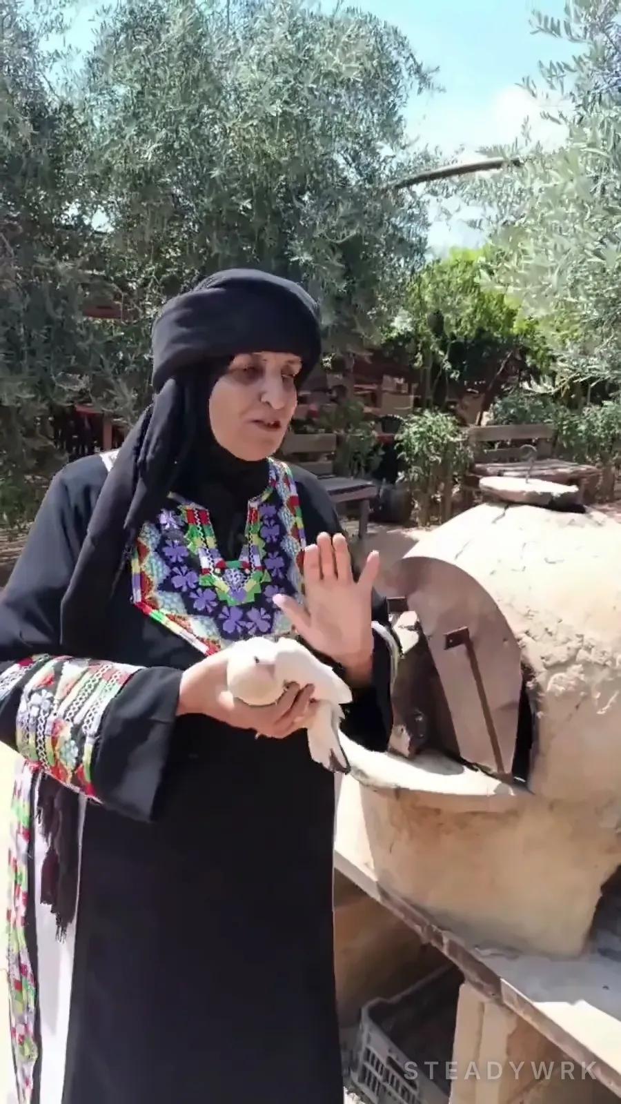 أم محمد جنب الطابون، وشجر الزيتون وراها